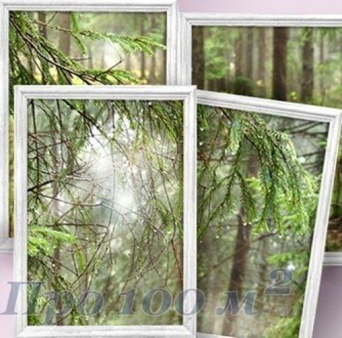 Двери ведущие в лес - мы творим очень быстро. 05