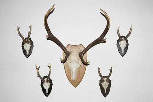 5 правил фен - ШУЙ: вещи, которые не должны быть в доме.
