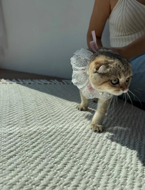 Артикул WB 519168853. 06