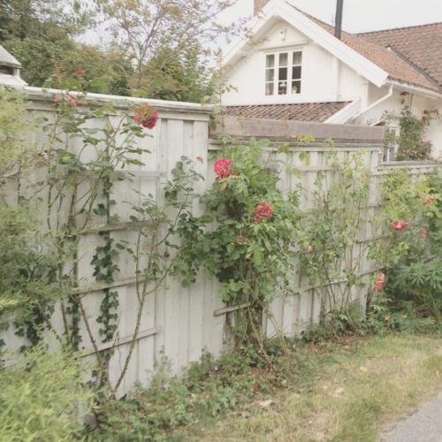 Как придать уют вашему дому. 05 Как придать уют вашему дому. 05