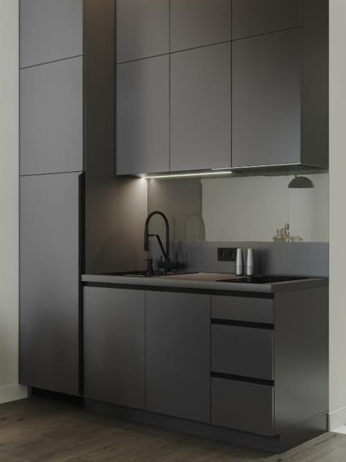 Современный проект компактной 1-комнатной квартиры 28 м 2. кухня - гостиная + спальня. 04