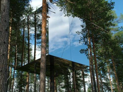Tree Hotel Швеция, харадс.