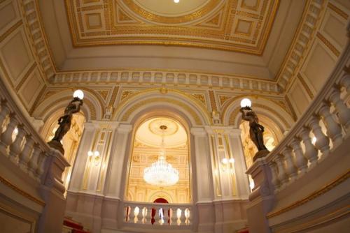 Интерьеры мариинского дворца до начала реставрации. 06