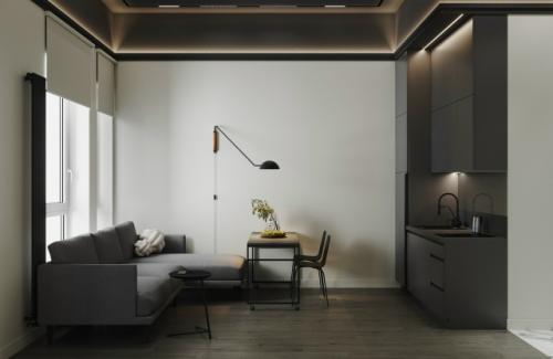 Современный проект компактной 1-комнатной квартиры 28 м 2. кухня - гостиная + спальня.  