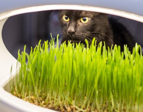 Ультрамодный светильник с клумбой. 05