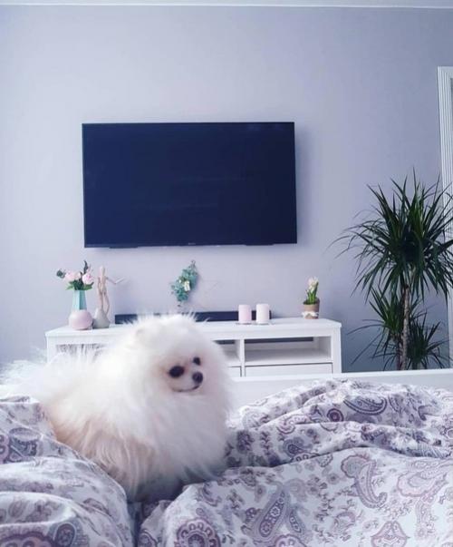 Интерьер в светлых оттенках. 05