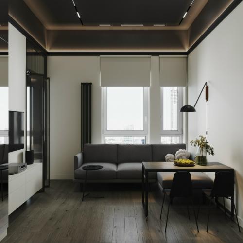 Современный проект компактной 1-комнатной квартиры 28 м 2. кухня - гостиная + спальня. 02