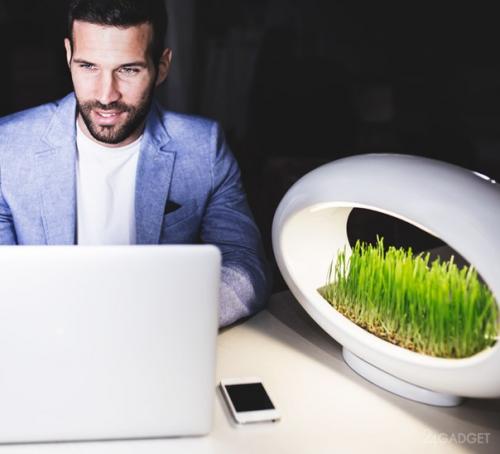 Ультрамодный светильник с клумбой. 04