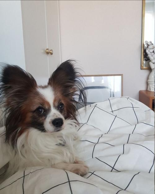 Очень уютный вариант ремонта в небольшой гостиной комнате. 01