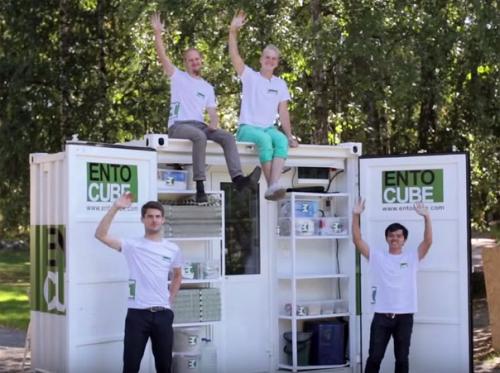 Топ - 5 финских решений, касающихся изменения климата.