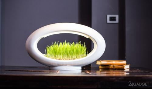 Ультрамодный светильник с клумбой.