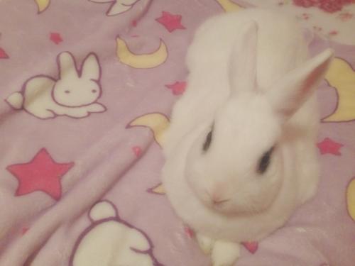 Как придать уют вашему дому. 01 Как придать уют вашему дому. 01