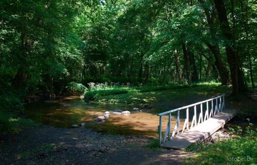 Стоит у речки синей, дом родной, где ждет меня любимая и верная. 04
