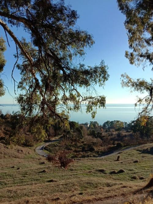 Когда - нибудь моё увлечение Сталиным до добра не доведет. 04