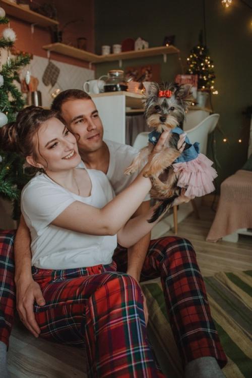 Как создается новогодняя студия? 05