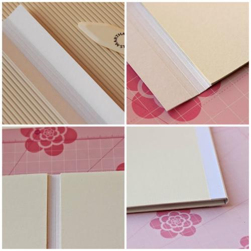 Мк Папка для Свидетельства о Рождении. 02