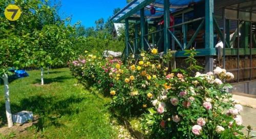 За $62, 5 тысячи по курсу. 02