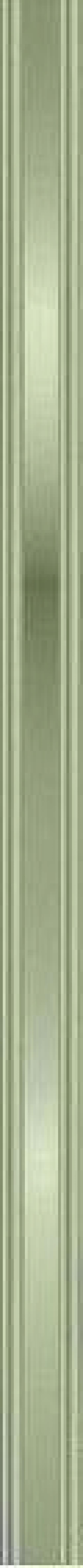 Дримиопсис?   Отличный выбор для тех, кто любит комнатные растения за яркую зелень, а не за эффектные цветы. 01