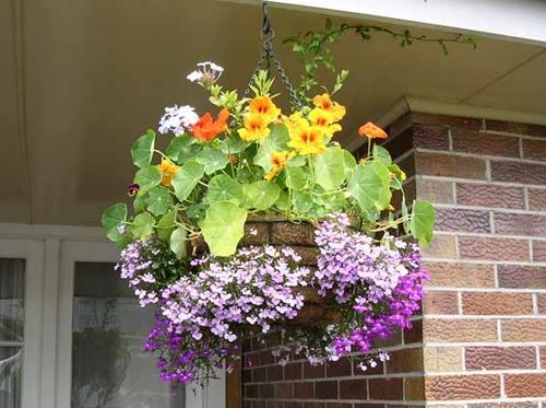 Подвесные клумбы: мы оформляем сады пирамиды на своем участке. 09
