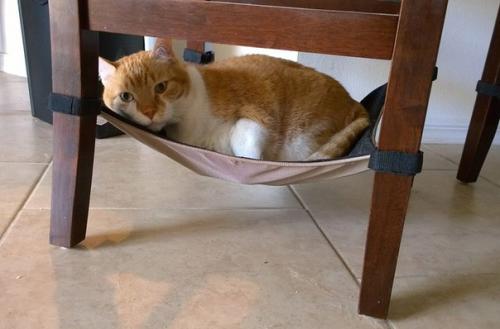 Гамак для кошки. 05