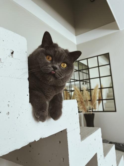 Всем привет. Хочется поделиться своим ремонтом, который с мужем сделали за 9 месяцев с полного нуля. 01