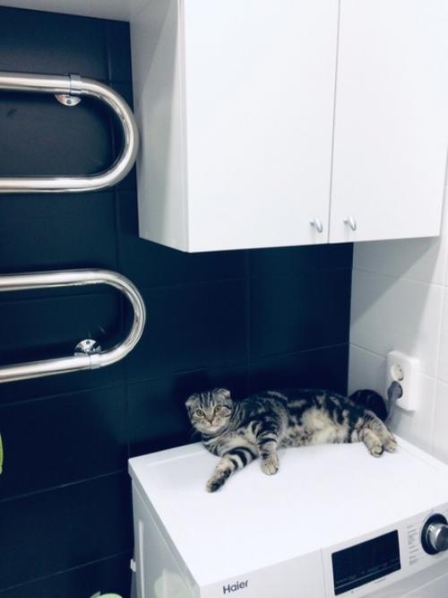 От нашей подписчицы. 02