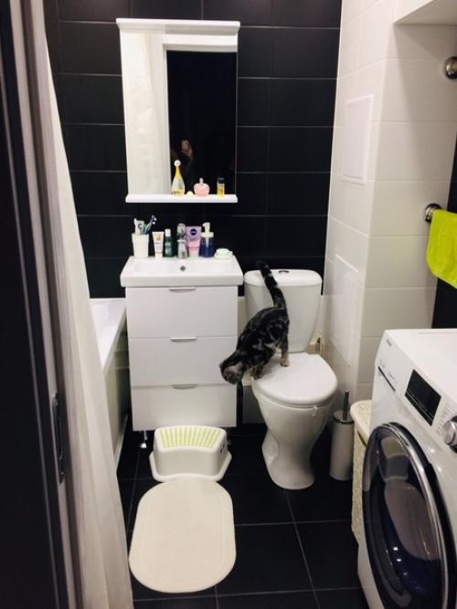 От нашей подписчицы. 03