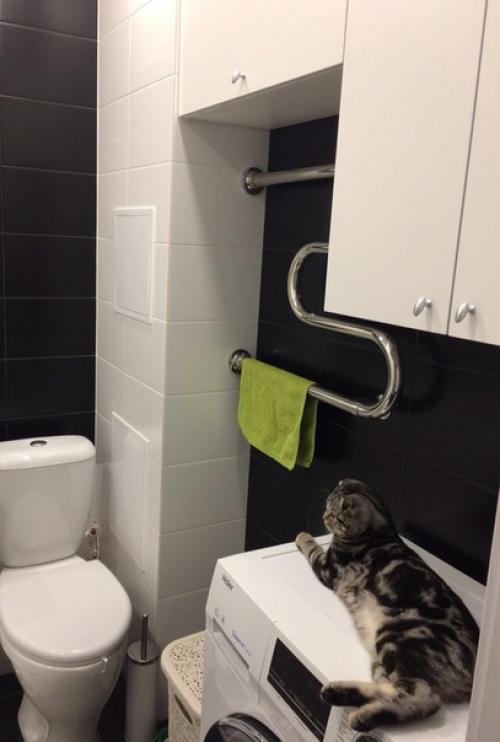 От нашей подписчицы. 01