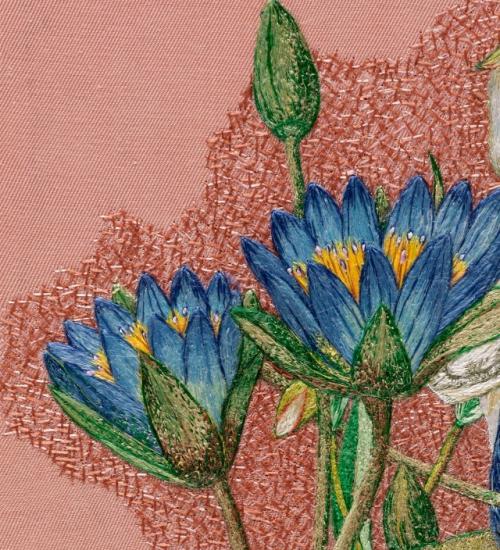 Зимородок в Лотосах. 06 Зимородок в Лотосах. 06