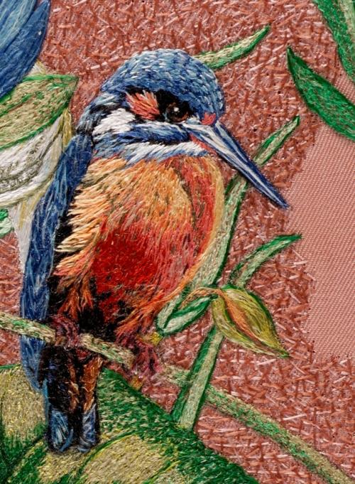 Зимородок в Лотосах. 03 Зимородок в Лотосах. 03