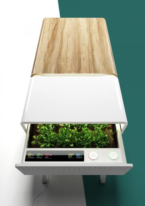 Теплый климат, позволяющий выращивать зелень круглый год, - это, к сожалению, не о погодных условиях России. 02 Теплый климат, позволяющий выращивать зелень круглый год, - это, к сожалению, не о погодных условиях России. 02