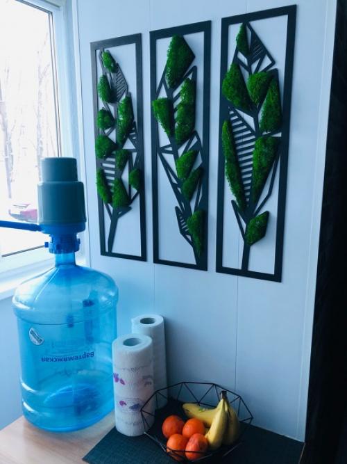 Открыла для себя новое хобби - декорирование предметов интерьера стабилизированным мхом. 01