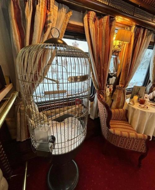 Вы ездили ли на настоящем паровозе? 01