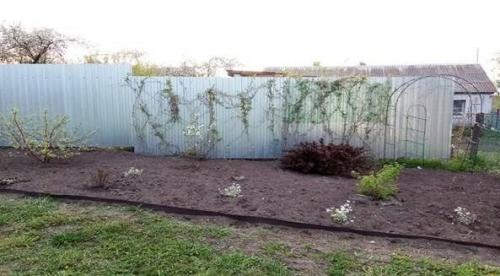 Сад - это не только продолжение дома. 05 Сад - это не только продолжение дома. 05