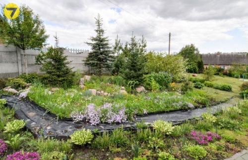 За $62, 5 тысячи по курсу. 05