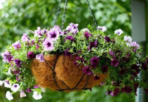 Подвесные клумбы: мы оформляем сады пирамиды на своем участке. 

