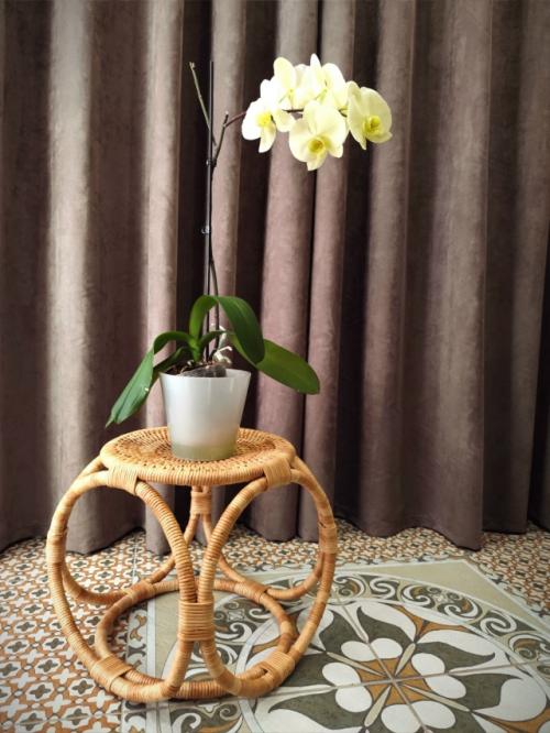 Я всегда мечтала о уютном и стильном доме, но не таком, вылизанном, где все идеально, как будто никто не живет. 02