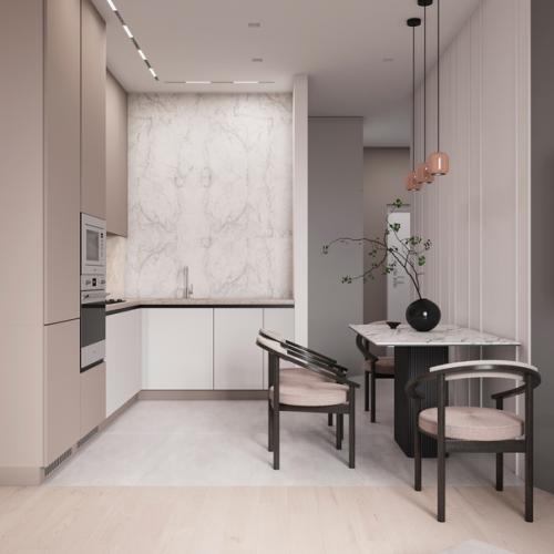 Кухня - гостиная в двух цветах! 01