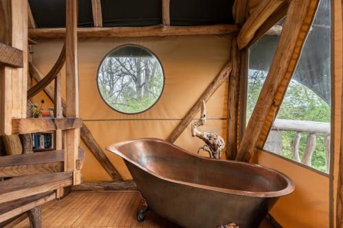 Дом - глэмпинг со стволом дерева в интерьере домика. 03