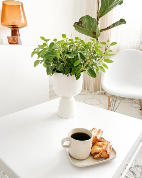 Скандинавская квартира в классическом исполнении в стиле минимализм. 07