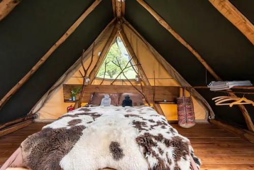 Дом - глэмпинг со стволом дерева в интерьере домика. 02