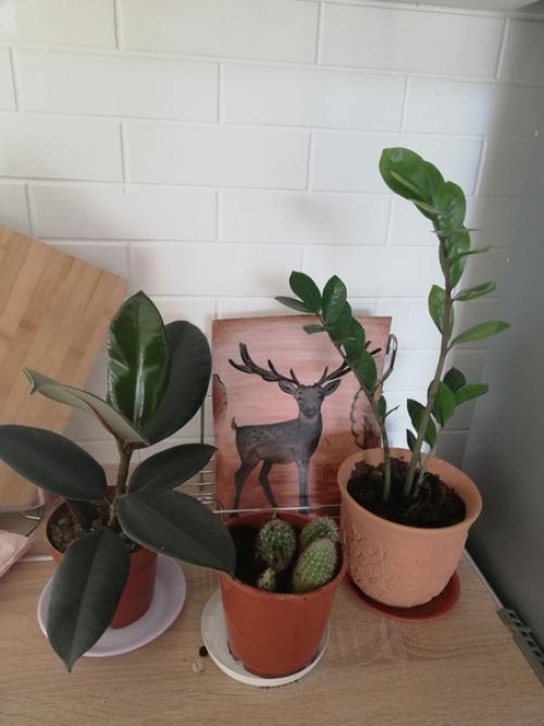 Здравствуйте!  Хочется сказать большое спасибо организатору группы и участникам! 06