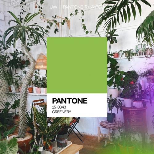 Как часто ты места с определённым цветом ассоциируешь? 02