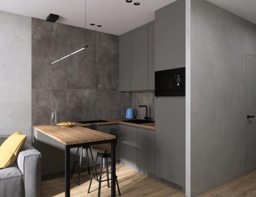 Проект квартиры - студии 24, 9 м 2. интерьер в современном стиле с элементами лофта. 03