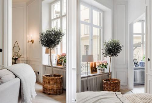 Что делать, если у квартиры нестандартная планировка, комнаты узкие, а квадратура не превышает и 40-ка квадратных метров? 01