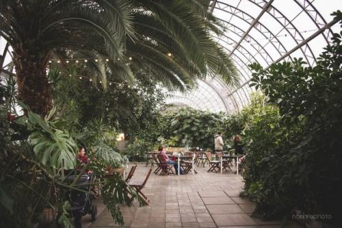 Развлечения в Петербурге за 100 рублей. 03