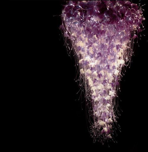 Дизайн.  Световые шедевры шерон марстон. 06