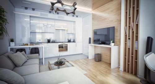 Кухня, совмещенная с гостиной.