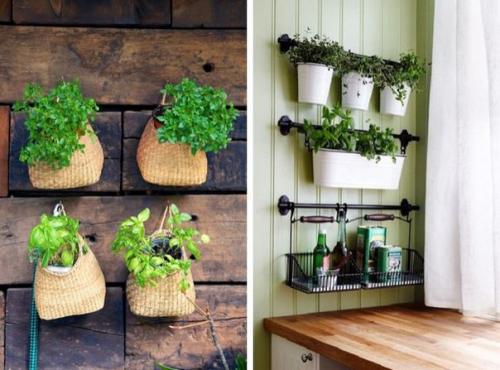 ? 10. Симпатичных идей для тех, кто мечтает о мини - огороде у себя на кухне. 03