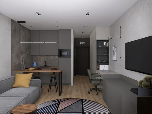 Проект квартиры - студии 24, 9 м 2. интерьер в современном стиле с элементами лофта. 08